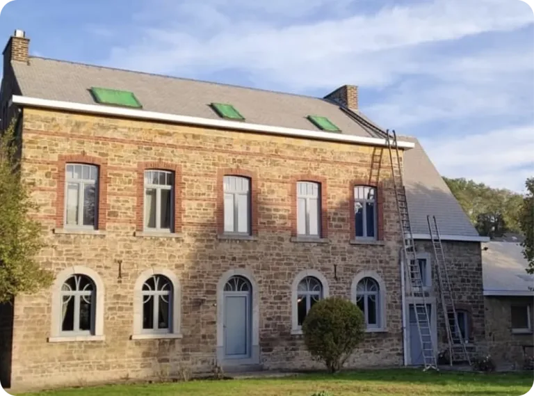 Toiture avant traitement